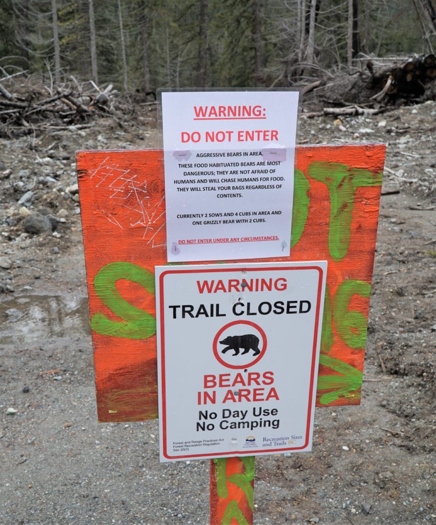 Keyhole Hot Springs Bear Warning Sign in British Colombia