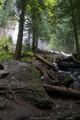 A glimpse of the stream downstream from the falls.