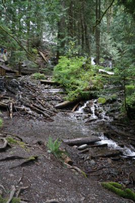 Crisp clean water flowing down the stream from bridal veil falls.