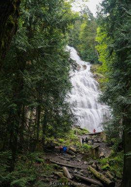 Beautiful lookouts amongst the trees with the falls in the center.