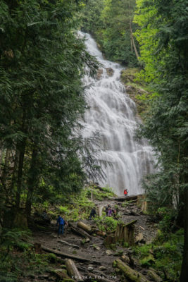 Beautiful lookouts amongst the trees with the falls in the center.