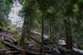 A different lookout point of Bridal Veil Falls amongst some trees.