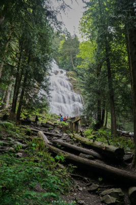 Broken trees in the foreground. In the Background you can start to see a glimpse of the falls amongst the trees.