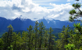 Beautiful view of so many mountains throughout the Borhm Lake Trail system. On top of the peak amongst beautiful lush trees.