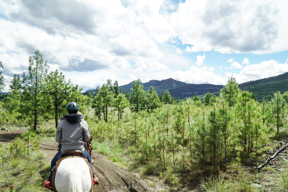 Horseback riding through kamloops hillside areas