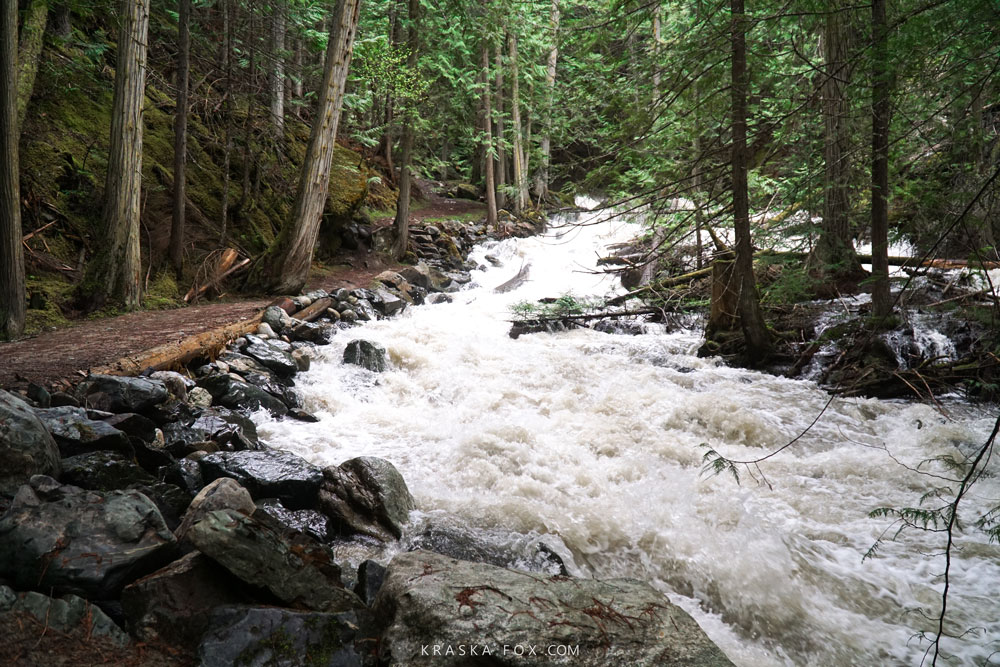 Raging white waters on the upper flume trail in roderick haig provincial park.