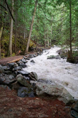 The river flowing aside the trail, beautidul trees over hanging these white waters.