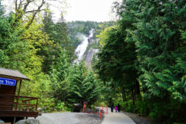 A pathway from the parking lot leading to Shannon Falls British Columiba. A Peak of the falls can be seen in the distance between the trees.