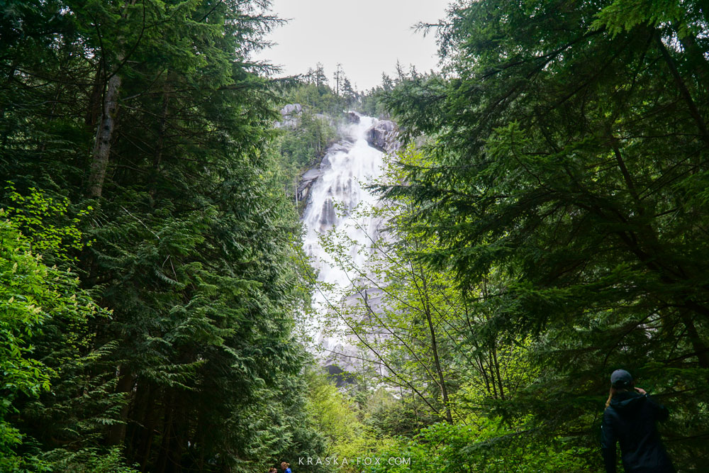 A crease in the forest from further down the path shows a beautiful view of Shannonl falls.