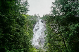 A break in the forest shows a beautiful view of Shannon falls.