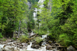 Just a glimpse of the waterfall can be seen through the brush of the forest from a viewpoint downstream.