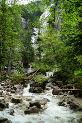 Just a glimpse of the waterfall can be seen through the brush of the forest from a viewpoint downstream.