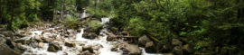 An amazing panoramic view of the cascading river downstream from the falls. A lush green forest surrounds the rocky shores of this river.