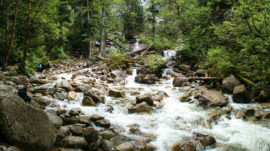 An amazing beautiful view of the cascading river downstream from the falls. A lush green forest surrounds the rocky shores of this river.