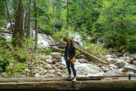 A viewpoint of the shannon falls river. In the foreground Alicja stands in the center of the photo on a fallen over tree.