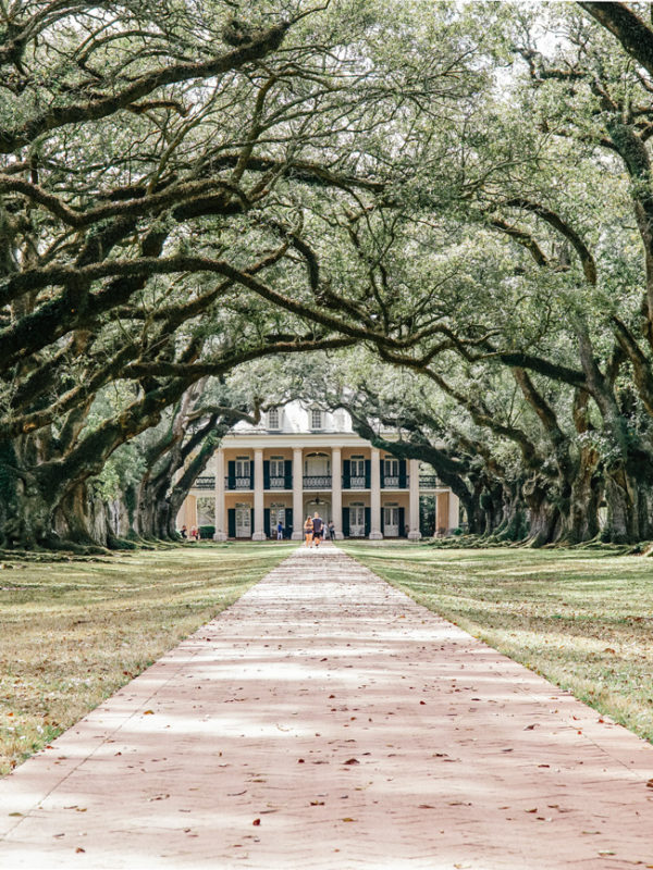 The front walkway to new orleans -oak alley plantation - Things to do in New Orleans