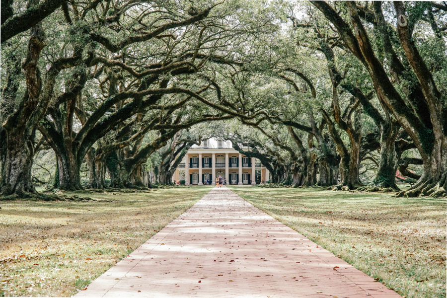 The front walkway to new orleans -oak alley plantation - Things to do in New Orleans